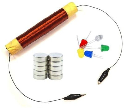 ERHIndia Electromagnetic Induction Project Working Model Electronic Components Electronic Hobby Kit