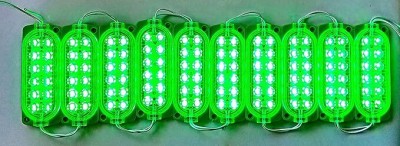 StrawHat 12 LEDs 1 m Green Steady Strip Rice Lights(Pack of 10)