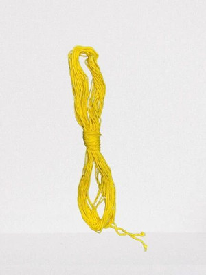 Shitaram pujan Bhandar Janeu or sacred thread (yellow)Brahmin Thread Embroidery Hoop(Pack of 1)
