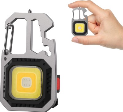 Xydrozen 800LUMENS Mini LED Torch/Work Light Key Ring 5 hrs Torch Emergency Light(Multicolor)