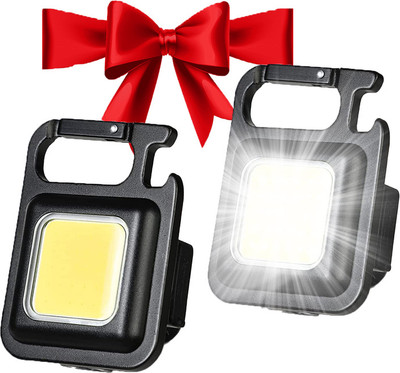 ZYRIAN (Pack Of 2) Small Flashlight LED Keychain Handheld_Flashlight USB Rechargeable 2 hrs Lantern Emergency Light(Black)