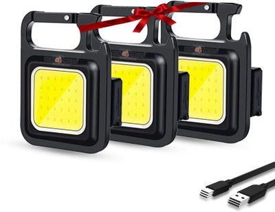 Daily Needs Shop Rechargeable Keychain Mini Pocket LED Torch Lantern Magnet 6 hrs Lantern Emergency Light(Pack of 3)