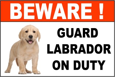 VAAIMAI Beware Of Dog Sign Sticker, Guard Labrador On Duty, Vinyl UV Printed Sticker Emergency Sign