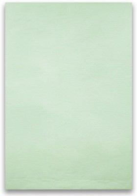 Mehta Envelope Mfg Co Envelopes(Pack of 25 Green)