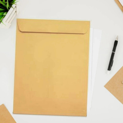 DeoDap Kraft Envelopes 16x14 Inch, Durable Brown Mailing Envelopes for Storage Envelopes(Pack of 10 Brown)