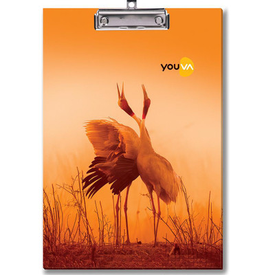 Youva Regular Exam Board for students-Clip Board-Fullscape-24 cm x 34.5 cm(Set of 1, Multicolor)