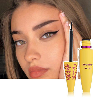 KA-KAIASHA WATERPROOF AND LONGLASTING LIQUIDE EYELINER PACK OF 1 6 ml(BLACK)