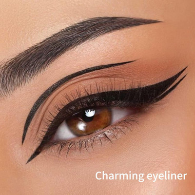Yuency Waterproof Eyeliner| Sweat-proof | Water-proof | Stays up to 12Hrs 1 ml(black)
