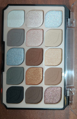 ADJD Makeup 15 Colors Eyeshadow matte & Shimmer Palette 15 g(MULTI COLOR)