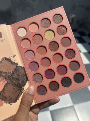 El Syco 4 in 1 Professional Eyeshadow, Blusher, Highlighter, Contour Color Book 97 g(Multicolor)