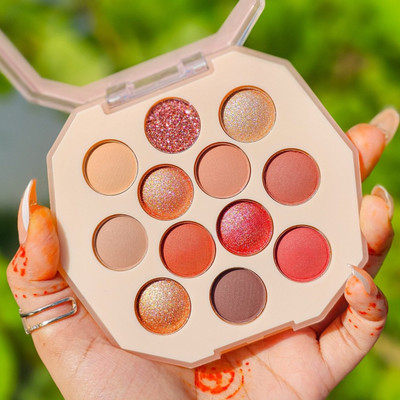 Emijun 12 Shade Eyeshadow and Highlighter Palette | Highly Pigmented & Long Lasting 9 g(MULTI COLOR)