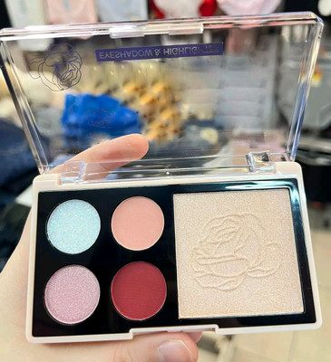 ADJD 4 COLOUR EYESHADOW PLALLTE & HIGHLIGHTER 8.8 g(MULTI COLOUR)