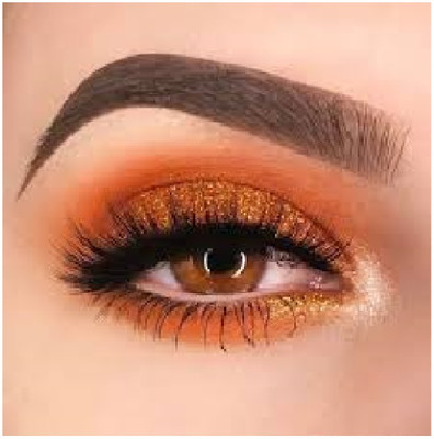 Luipui eyeshadow amazing long lasting for eyes makeup matte and shimmer look 9 g(multicolor)