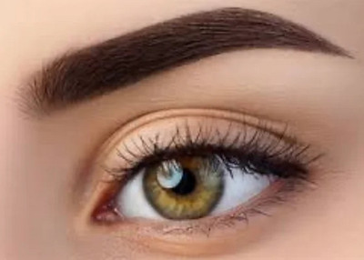 Latixmat BEST MATTE 3COLOR EYEBROW POWDER,WITH THE BROW BRUSH 10 g(MULTICOLOR)