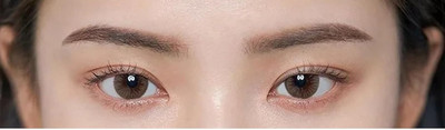 GULGLOW99 Best Eyebrow Pen Waterproof Microblading Eyebrow Pencil(BLACK)