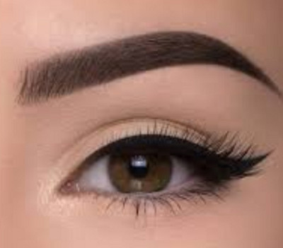 Latixmat 3 In 1 MATTE EYEBROW POWDER,WITH THE BROW BRUSH 10 g(MULTICOLOR)