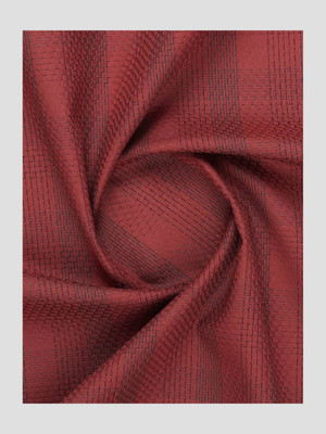 Ramraj Cotton Pure Cotton Solid Shirt Fabric