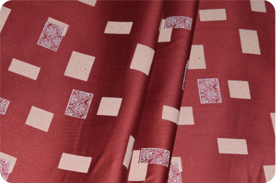 Arvind Pure Cotton Printed Shirt Fabric