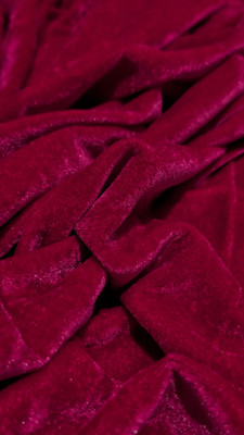 DCPL VELVET CREATION Velvet Solid Blouse Material