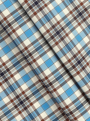 Ramraj Cotton Cotton Blend Checkered Shirt Fabric