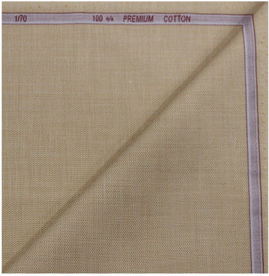 Raymond Pure Cotton Solid Shirt Fabric