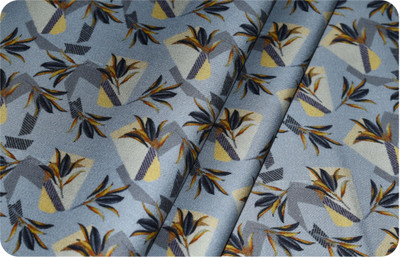 Arvind Pure Cotton Printed Shirt Fabric