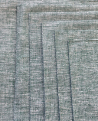 MS ZEENAT TRADERS Linen Self Design Shirt Fabric