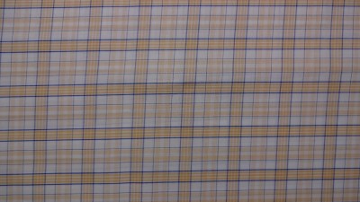 Raymond Pure Cotton Checkered Shirt Fabric