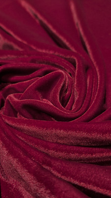 DCPL VELVET CREATION Velvet Solid Blouse Material