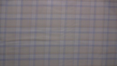 Raymond Pure Cotton Striped Shirt Fabric