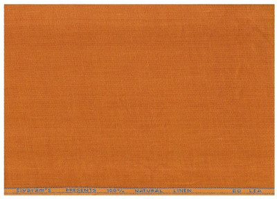 Siyaram's Linen Solid Shirt Fabric