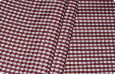Arvind Cotton Blend Checkered Shirt Fabric