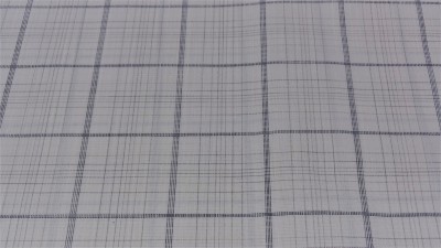 Raymond Pure Cotton Colorblock Shirt Fabric