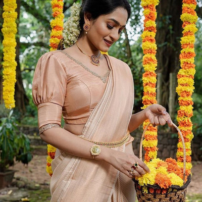 PITHAVADIWALA Pure Silk Solid Blouse Material