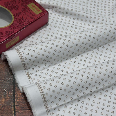 Raymond Pure Cotton Printed Shirt Fabric
