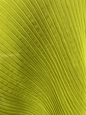 KRISHNAM TRENDS Georgette Self Design Multipurpose Running Fabric