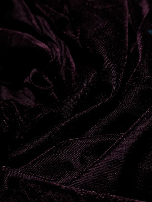 DCPL VELVET CREATION Velvet Solid Blouse Material