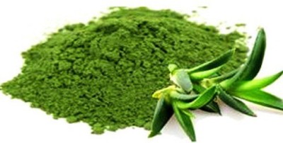 Top Quality Store Aloe Vera Powder for Face | Aloe Arborescens Leaf | Aloe Leaf Gel For Skin(100 g)