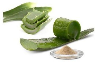 Top Quality Store Herbal Aloe Vera Leaf (Aloe Barbadensis) Powder for Hair And Skin Care(100 g)