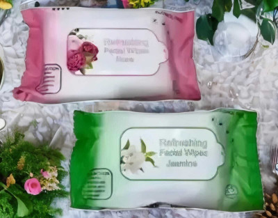 Elecsera Set of 2 Wet Wipes(25 Tissues)