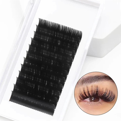 she pro eyelashes extensions multiple volume premade cluster fans pre fanned eyelashes(Pack of 1)