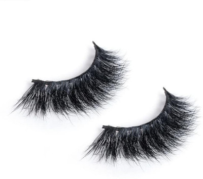 the wink studio florida(Pack of 1)