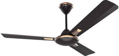 Crompton PM Aura 2 Prime 1 Star 1200 mm 3 Blade Ceiling Fan(Black, Gold | Pack of 1)