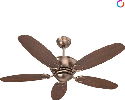 Polycab Superia SP04 BLDC 1200mm Ceiling Fan with Remote,3 Star(Copper Rosewood) with 1 Year Warranty Remote Controlled 1200 mm Ceiling Fan(3 Star | CreamBrown | Pack of 1)