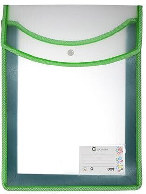 goClassik SWADE/MATT Documents Bags(Set Of 5, Multicolor)