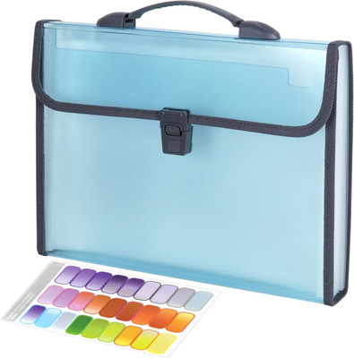 NISUN Polypropylene 13 Pockets Expanding File Folder A4/Lettter Size Document Organizer with Handle(Set Of 1, Blue)