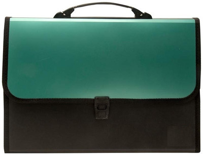 Bluedeal plastic Presents Plastic File Folder F/C Expanding Bag with Handle 5555(Set Of 1, Green, Black)