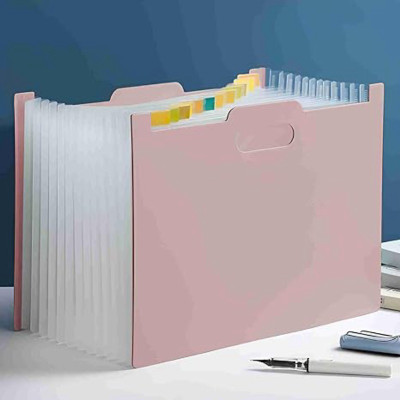 PRANISHA ENTERPRISE Polypropylene Expanding File Folder / Document Organizer(Set Of 1, Multicolor)