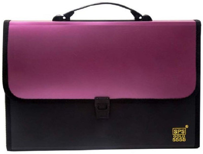 BANISTROKES Plastic 13 pocket A4 Size File Organizer with Carry Handle(Set Of 1, Pink-Black)