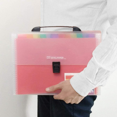 WEMOL Plastic Document Organizer(Set Of 1, Multicolor)